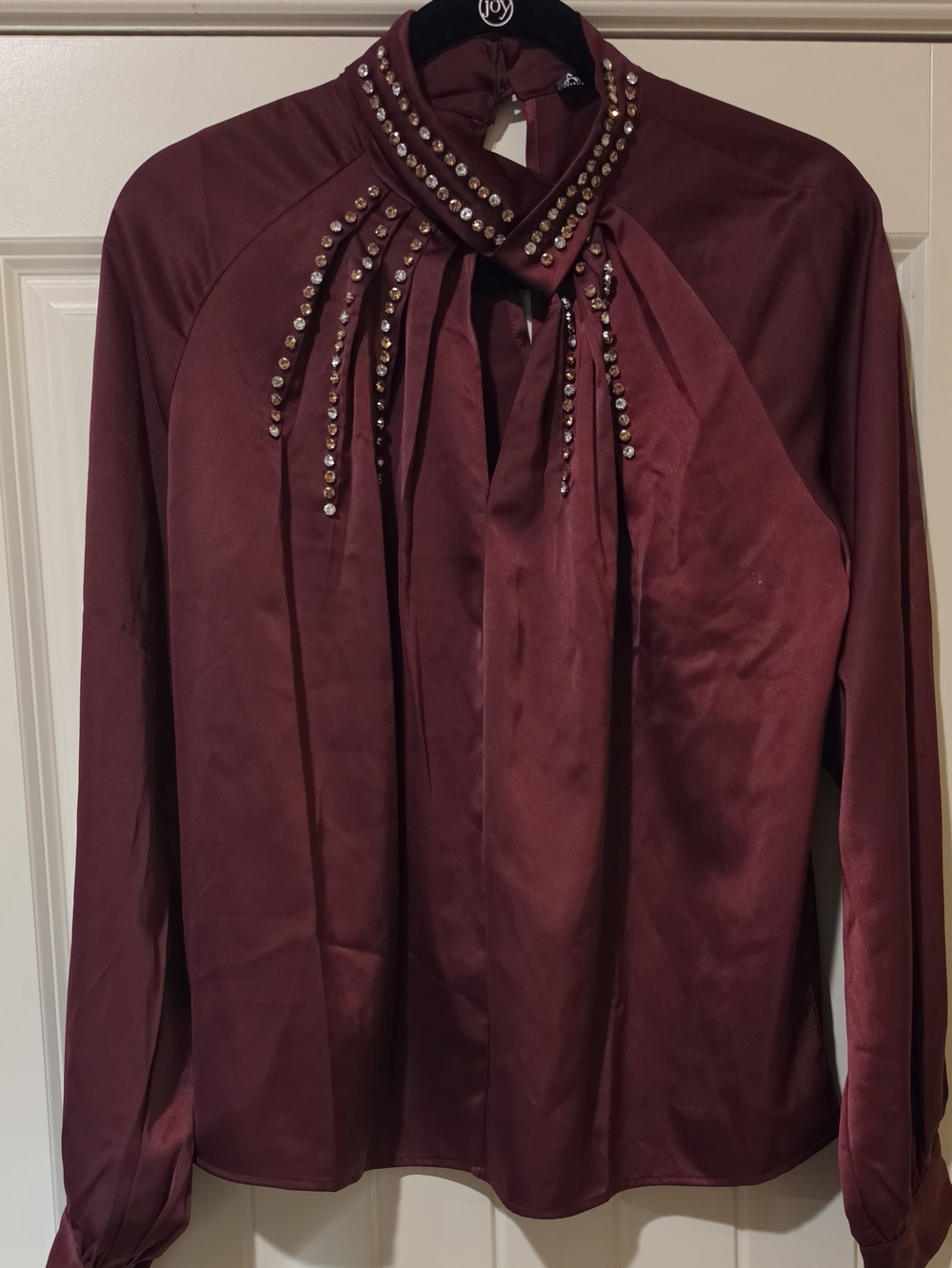 Embellished Neck Blouse in Deep Burgundy